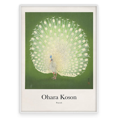 Ohara Koson - Peacock Plakat